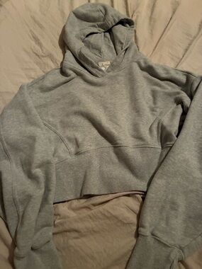 aerie Gray Cropped Hoodie Sweatshirt